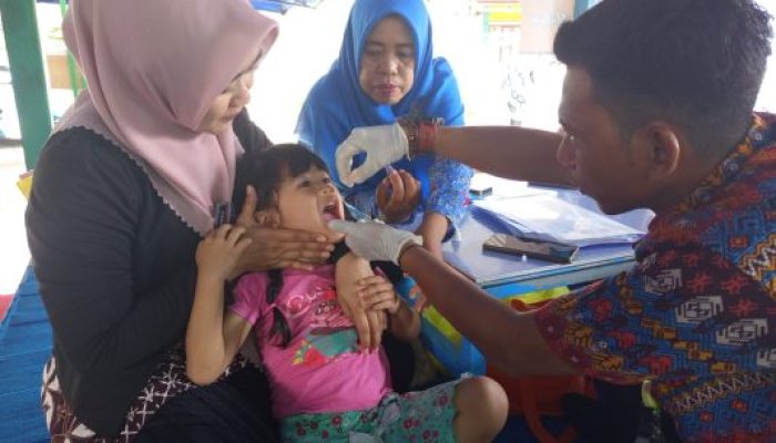 Pelaksanaan Pekan Imunisasi Nasional (PIN) Polio Desa Biringere