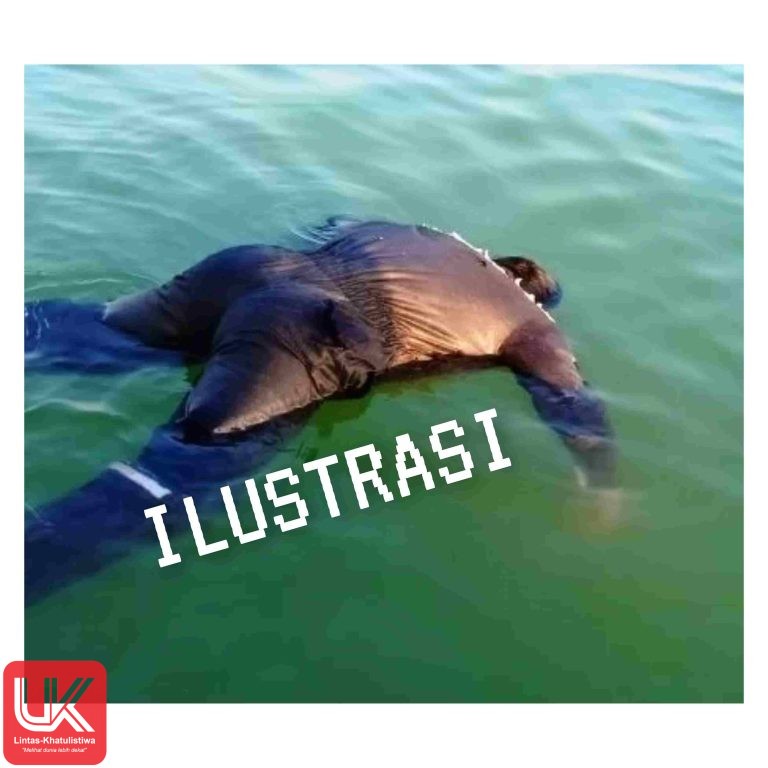 Ibu Muda Ditemukan Tewas di Sungai Pangkep