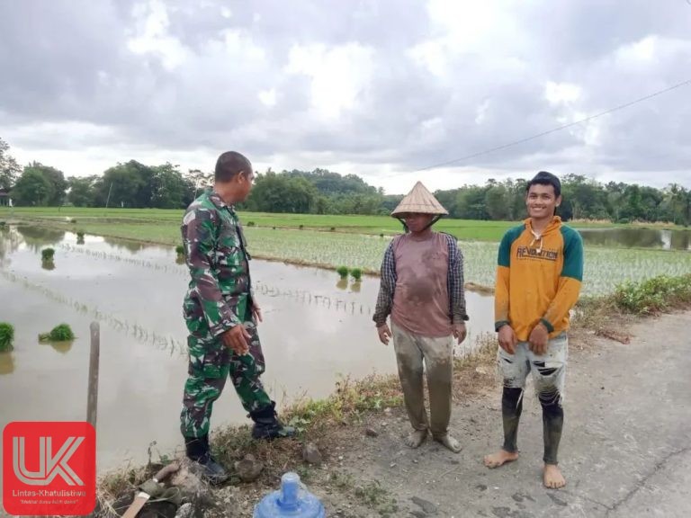 Babinsa Desa Baring Dampingi Petani Terapkan Sistem Tanam Pindah