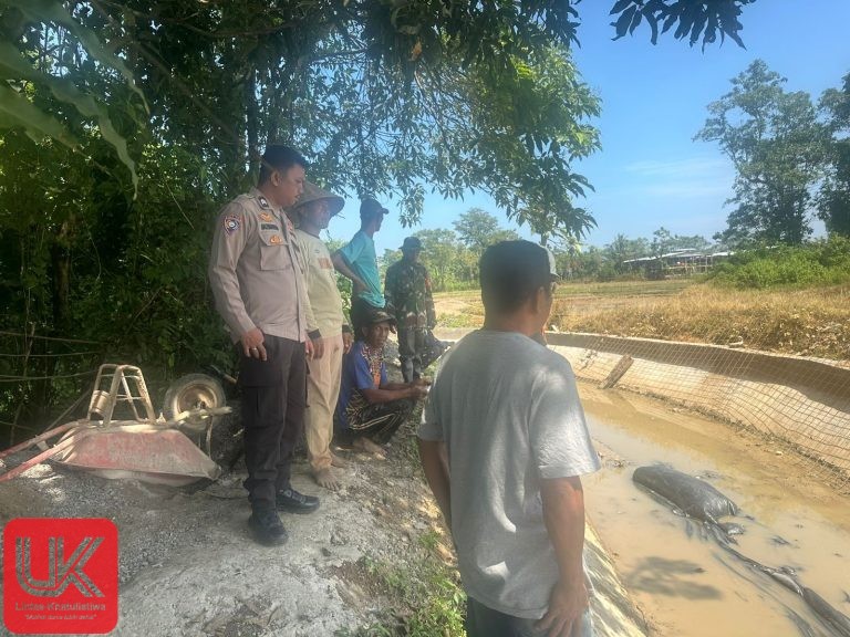 Sawah Terancam Kering, Bhabinkamtibmas dan Babinsa Gerak Cepat Bantu Petani