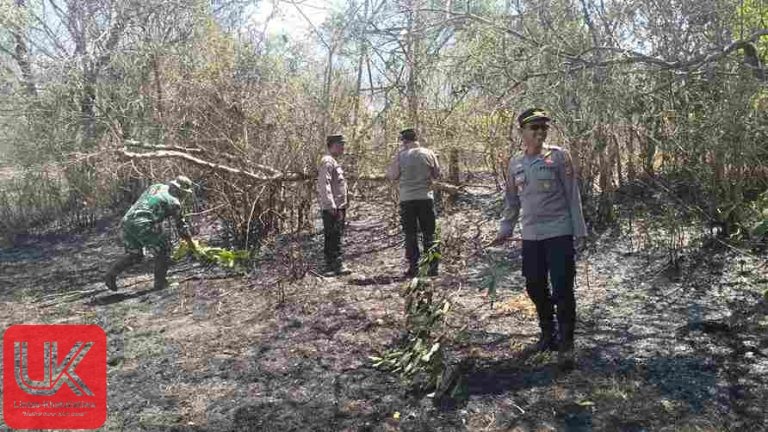 Lahan di Perbatasan Punranga dan Alesipitto Terbakar, Sinergi Aparat dan Warga Berhasil Jinakkan Api