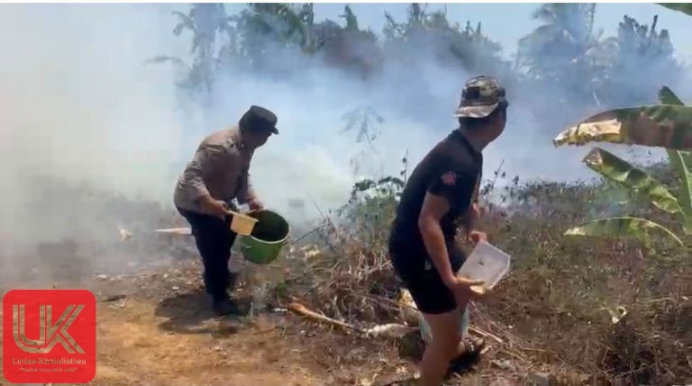 Polsek Ma’rang Bersama Damkar Bergerak Cepat Padamkan Kebakaran Lahan Kering, Warga Diimbau Waspada